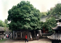 廣州到漢中物流專(zhuān)線,廣州到漢中貨運(yùn)公司