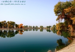 廣州到阿克蘇物流專(zhuān)線,廣州到新疆阿克蘇貨運(yùn)公司